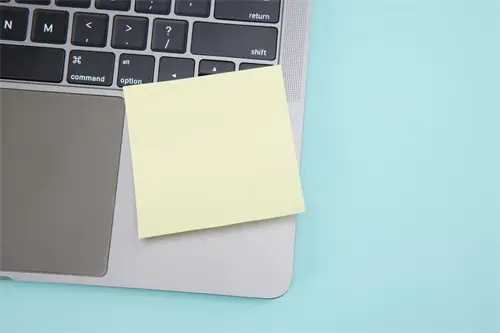 你喜欢有什么课程英语